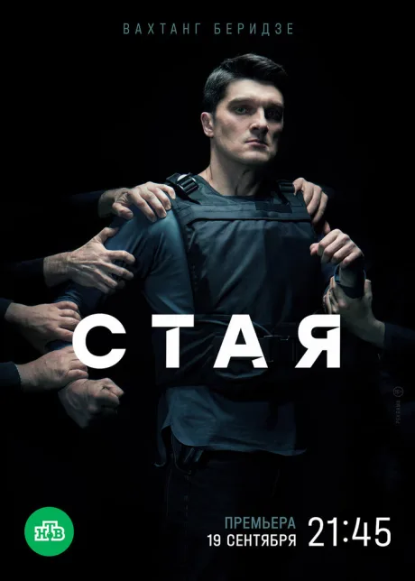 Стая — постер