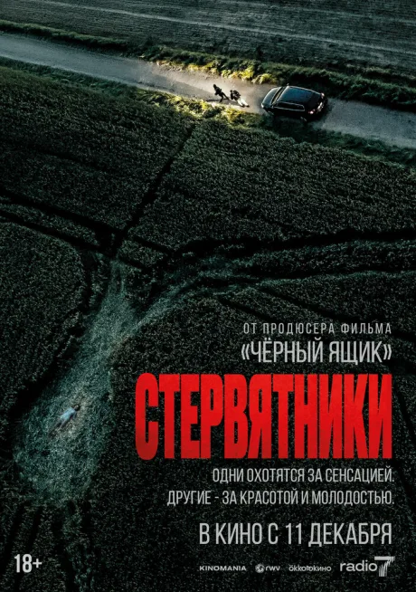 Стервятники — постер