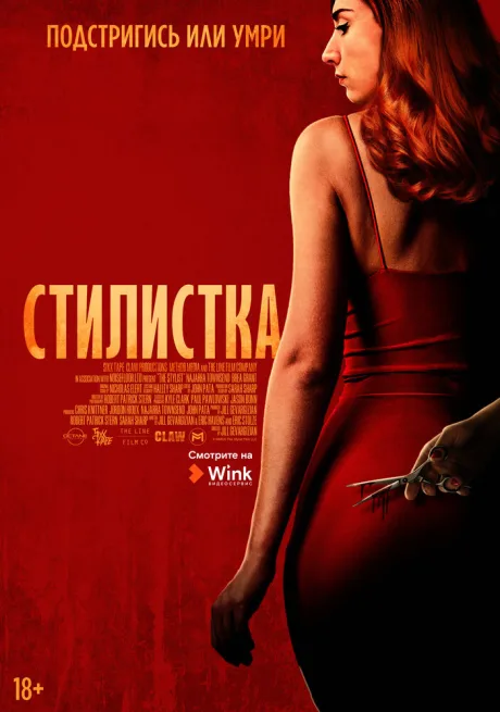 Стилистка — постер