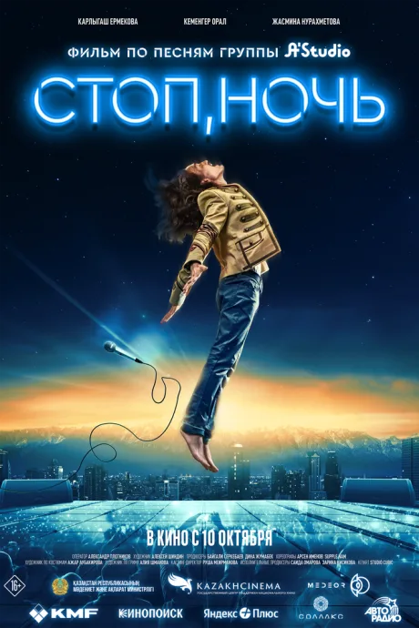 Стоп, ночь — постер