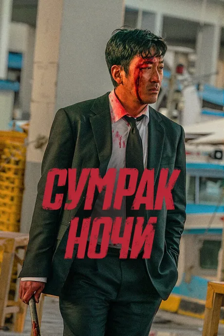 Сумрак ночи — постер