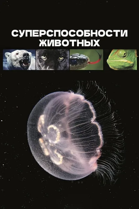 Суперспособности животных — постер
