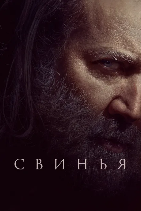 Свинья — постер