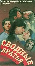 Сводные братья — постер