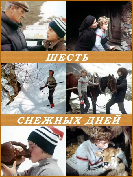 Шесть снежных дней — постер
