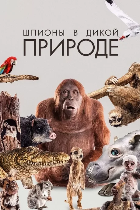 Шпионы в дикой природе — постер