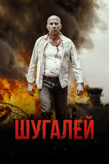Шугалей — постер