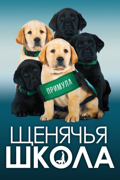 Щенячья школа — постер