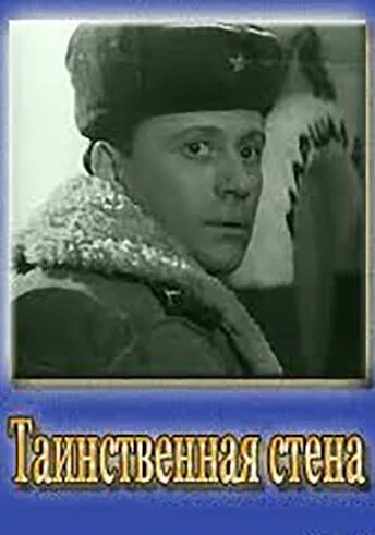 Таинственная стена — постер