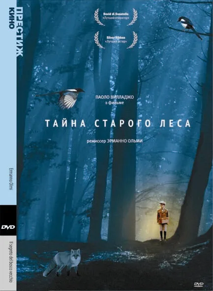Тайна старого леса — постер