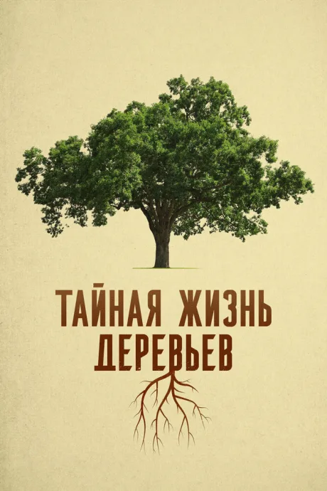 Тайная жизнь деревьев — постер