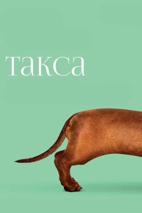 Такса — постер