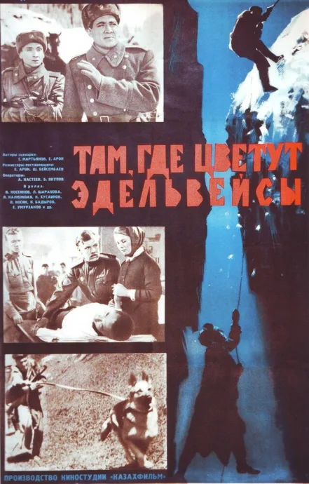 Там, где цветут эдельвейсы — постер