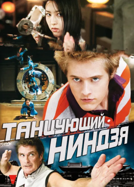 Танцующий ниндзя — постер