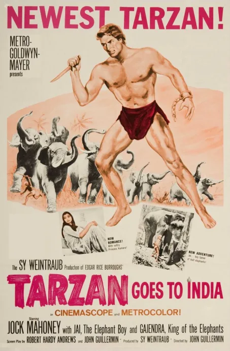 Тарзан едет в Индию — постер