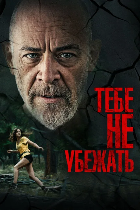 Тебе не убежать — постер