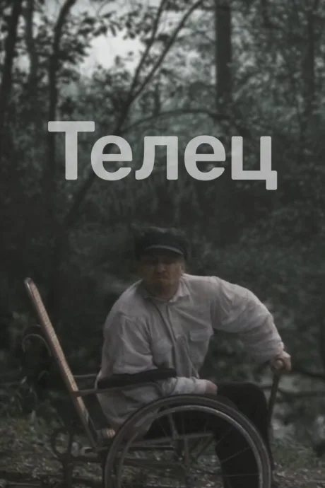 Телец — постер