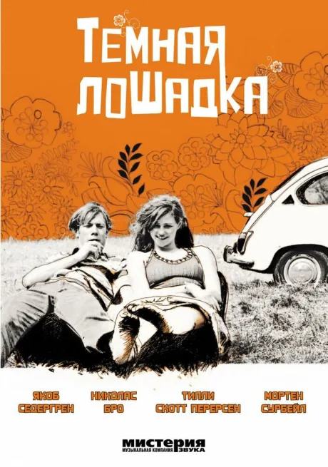 Темная лошадка — постер