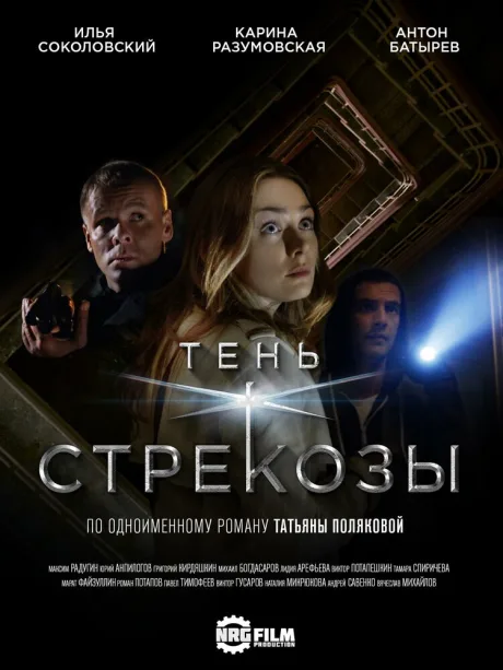 Тень стрекозы — постер