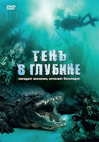Тень в глубине — постер
