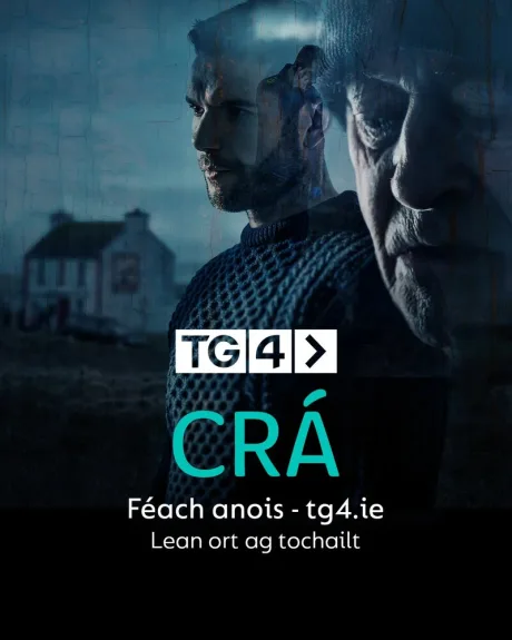 Терзания — постер