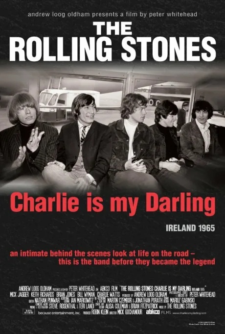 The Rolling Stones: Чарли — моя лапочка — постер