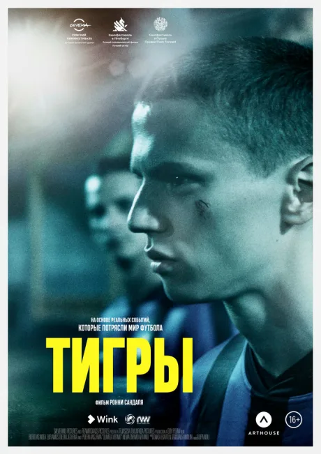 Тигры — постер