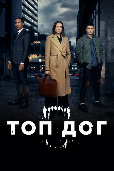 Топ дог — постер