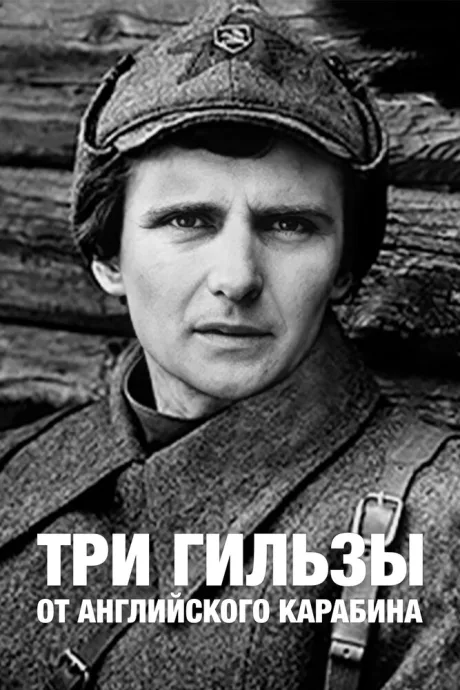Три гильзы от английского карабина — постер