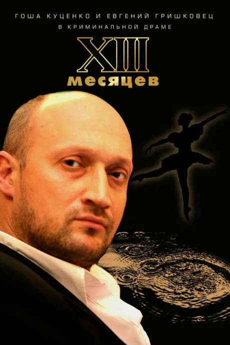 Тринадцать месяцев — постер