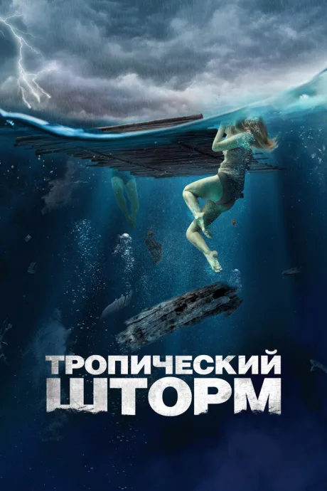 Тропический шторм — постер
