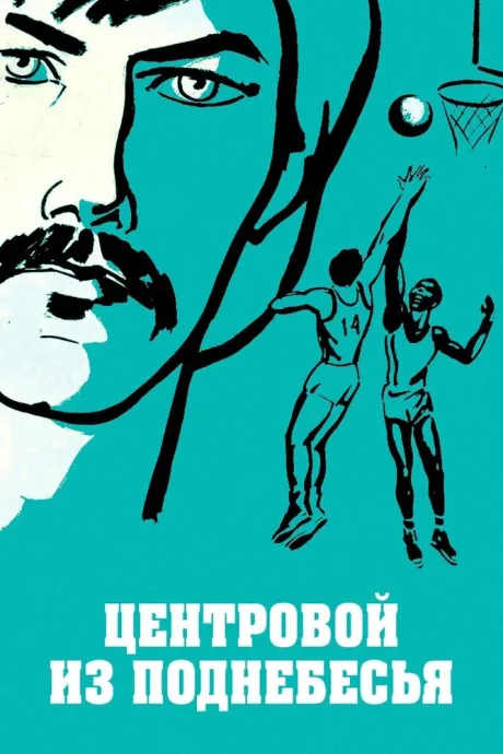 Центровой из поднебесья — постер