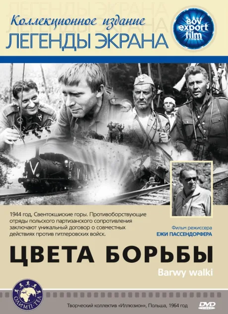 Цвета борьбы — постер