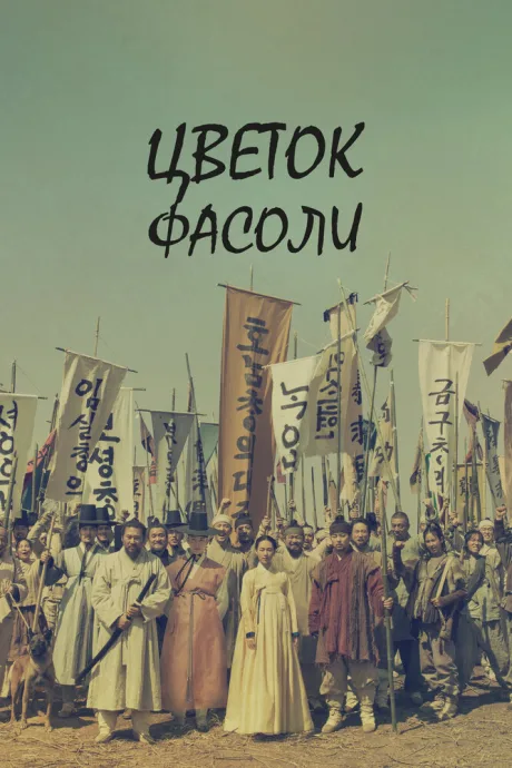 Цветок фасоли — постер