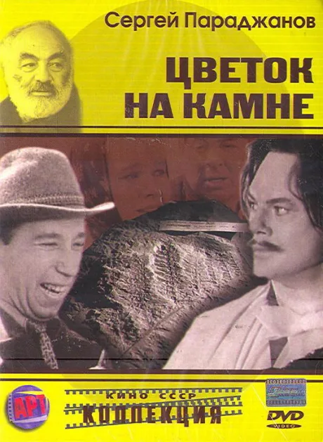 Цветок на камне — постер