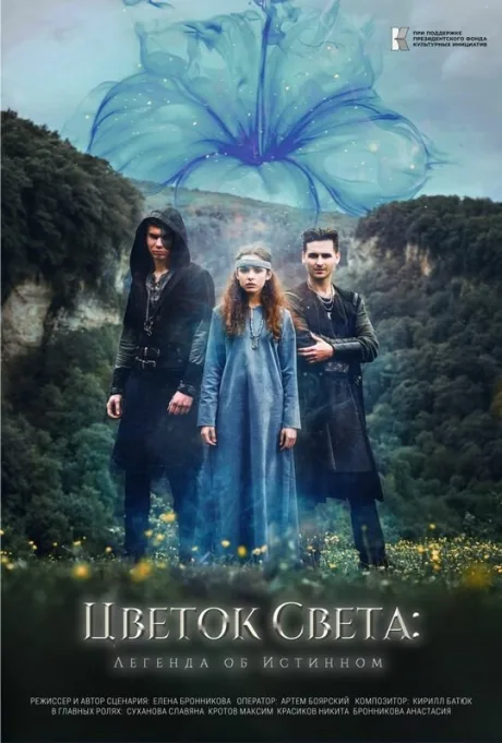Цветок света — постер