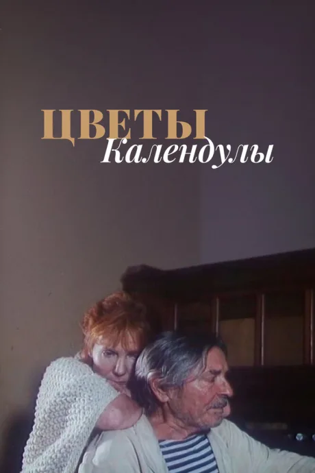 Цветы календулы — постер