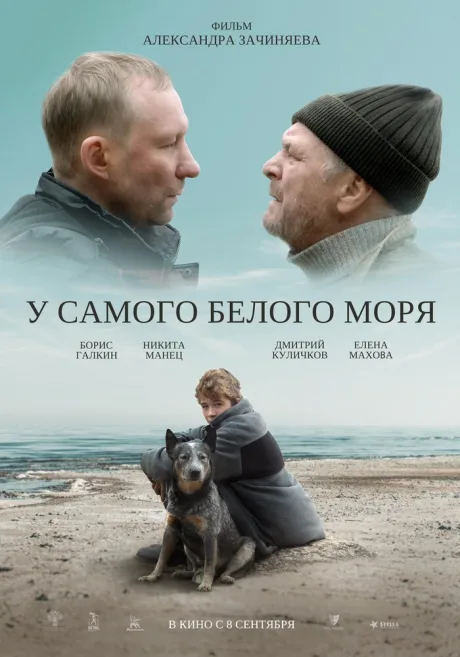 У самого Белого моря — постер