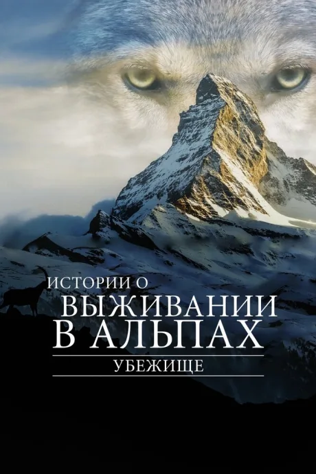 Убежище. Истории о выживании в Альпах — постер