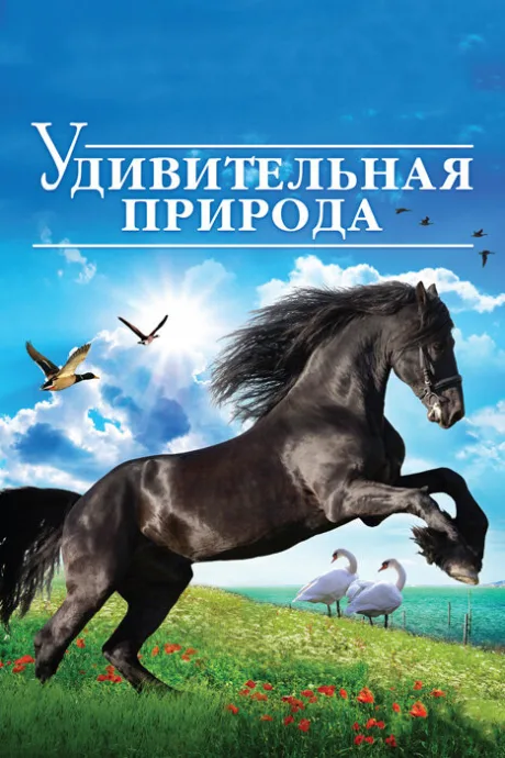 Удивительная природа 3D — постер