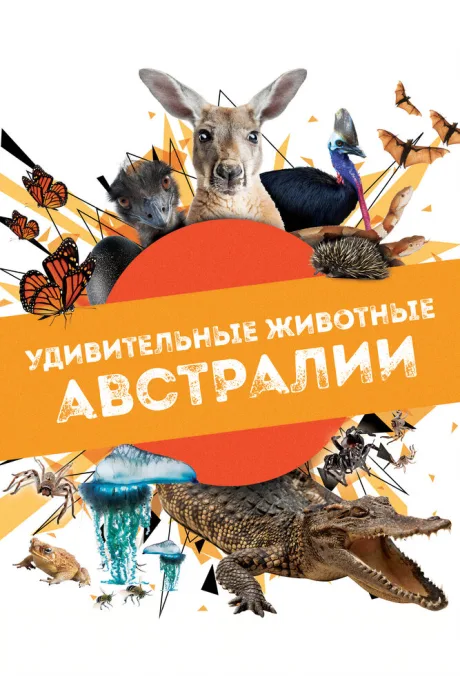 Удивительные животные Австралии — постер