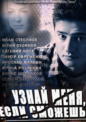 Узнай меня, если сможешь — постер