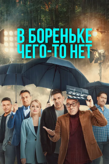 В Бореньке чего-то нет — постер