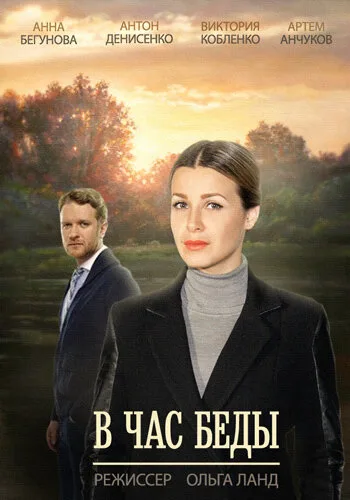 В час беды — постер