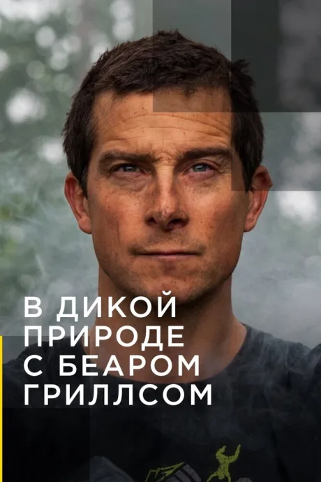 В дикой природе с Беаром Гриллсом — постер