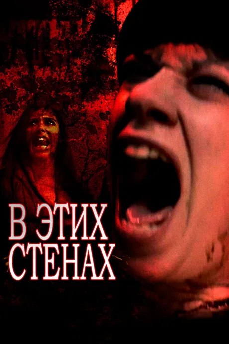 В этих стенах — постер