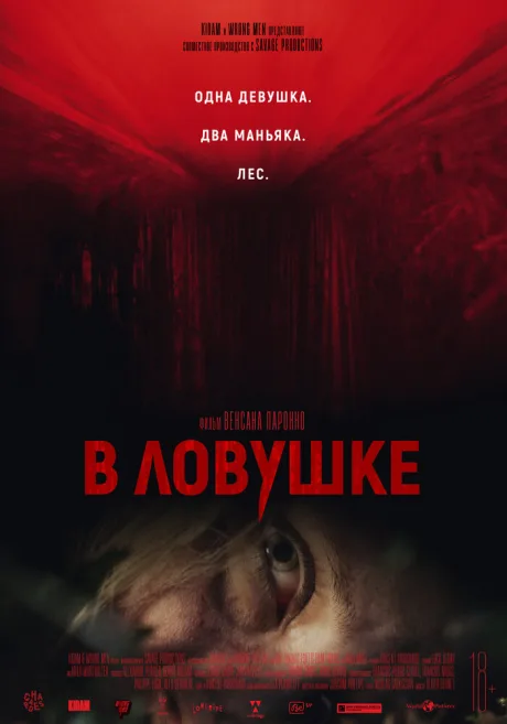 В ловушке — постер