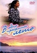 В одно прекрасное лето — постер
