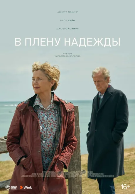 В плену надежды — постер