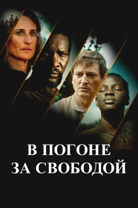 В погоне за свободой — постер